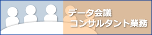 データ会議コンサルタント業務